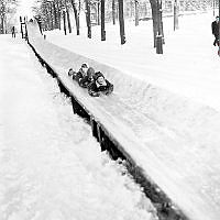 Barn åker snökana i Humlegården.