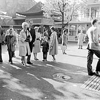 Besökare på Gröna Lund. Kvinna med volmat hår.