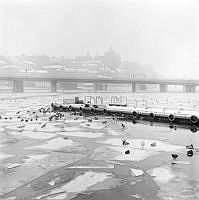 Vy över Riddarfjärden mot Söder Mälarstrand. Isflak med sjöfåglar. Centralbron i fonden.