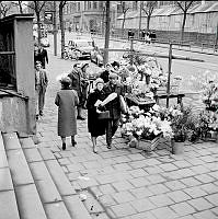 Gatubild med försäljning av blommor och fastlagsris. Odengatan vid Stadsbiblioteket.