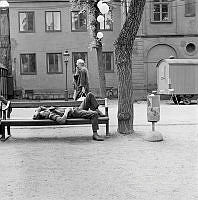 Liggande man på parkbänk i Kungsträdgården.