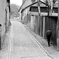 Stora Hargränd sedd norrut mot Tavastgatan. Till höger ett skjul av korrugerad plåt.