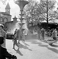 Folkliv på Gröna Lund.