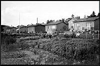 Svedmyra småstugeområde med del av kvarteret Dombrevet