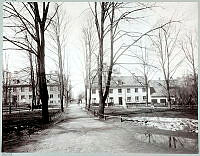 Norra delen av Adolf Fredriks kyrkogård mot Saltmätargatan.