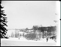 Utsikt över Djurgården vintertid från Täcka Udden.