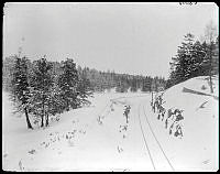 Järnvägsspår i Uggleviksskogen på Norra Djurgården.