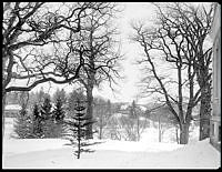 Täcka udden på Djurgården vintertid.