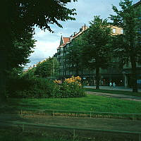 Karlavägen österut från korsningen av Sturegatan. Plantering med liljor.
