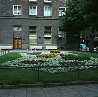 Plantering med alyssum framför Ahlströmska Skolan, Kommendörsgatan 31, sedd från gatan.