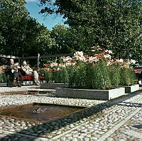 Planteringar och fontäner i Vasaparkens västra del. Män sitter på rödmålad parkbänk.