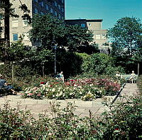 Plantering i parken (nuvarande Sankt Göransparken) sydost om Kvinnohuset, östra Stadshagen.