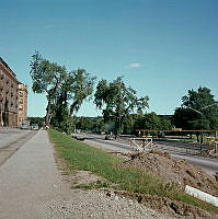Västra delen av Norr Mälarstrand och byggandet av gångbron över Rålambshovsleden. I bakgrunden popplar. Vy österut.