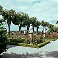 Skansen. Rosenplanteringar, skulpturer och träd vid Sagaliden.