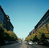 Sveavägen norrut från Rådmansgatan.