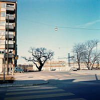 Oxenstiernsgatan norrut från Karlavägen. Eken mitt i gatan. TV-huset under byggnad.