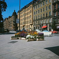 Blomsterarrangemang på Odenplan. Café Tranan i bakgrunden.