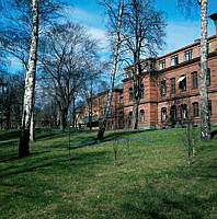 Trädslänt framför Sophiahemmets huvudbygggnad.