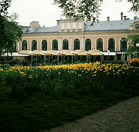 Gula tulpaner framför Berns Salonger i Berzelii Park.