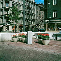 Tulpanplanteringar i Karlavägsallén vid hörnet av Sibyllegatan. Skulptur av Ebba Ahlmark-Hughes med titeln 