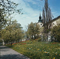 Blommor i Tyresö slottspark. Vy mot slottets sydvästra fasad.