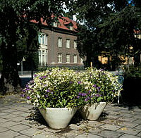 Blomsterurnor med petunior i Karlavägsallén vid hörnet av Villagatan.I bakgrunden Villagatan 1.