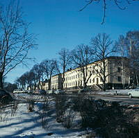 Vy åt nordväst mot Långa Raden på Malmen i Drottningholm.