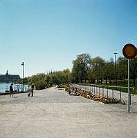 Vy från Källhagen västerut längs strandpromenaden. T.v. Nordiska Museet.