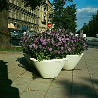 Blomsterurnor med petunior i Karlavägsallén vid korsningen av Sturegatan. Vy österut.