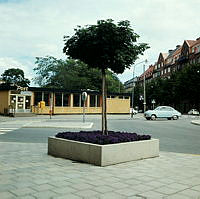 Trädplantering vid Karlaplan 11. I bakgrunden ett litet postkontor i kv. Fältöversten.