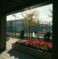 Stockholmsterrassen; plantering med röda begonier och vy mot byggandet av Kulturhuset.