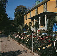 Rosenplantering vid Djurgårdsbrunns Värdshus.