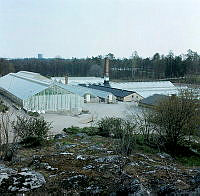 Växthusen i Haga Trädgård från nordväst.
