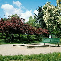 Blommande träd vid en liten lekplats med sandlåda ca 100 m. väster om Källhagen.