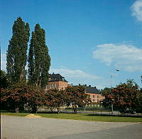 Blommande röd hagtorn vid Sveaplans Gymnasiums skolgård. Vy åt sydost över Cedersdalsgatan mot Johannes skola.