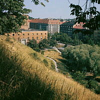 Observatorielunden; vy från kullen ned mot Stadsbiblioteket och husen på motsatta sidan av Sveavägen.