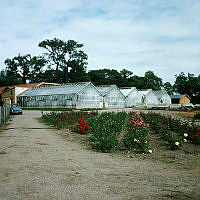 Växthus i södra delen av Rosendals trädgård.