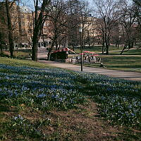 Uteservering vid Floras kulle i Humlegården. Vy mot Sturegatan.