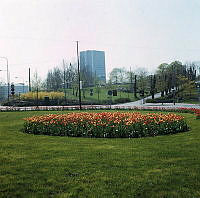 Tulpanplantering i Roslagstulls trafikrondell. Vy mot Bellevueparken och Wenner-Gren Center.