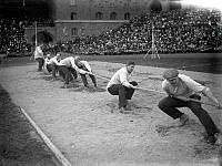 Olympiska spelen i Stockholm 1912. Dragkamp på Stockholms Stadion, stockholmspolisen.