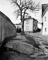 Kvarnbacksgränd norrut från Brännkyrkagatan 112 till Brännkyrkagatan 114. Gården hette Maria barnhärbärge 