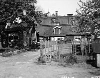 Äppelträdet blommar på gårdssidan vid Yttersta Tvärgränd 4. Taket bakom skorstenen hör till huset vid Yttersta Tvärgränd 3. I fonden går några personer på Skinnarviksberget.