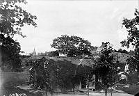 Utsikt över Vita Bergen från Lilla Mejtens Gränd. Här på berget byggs Sofia kyrka 1902-1906. Katarina kyrkas torn ses t.v. i fonden.