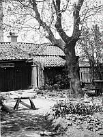 Gårdssidan av ett hus på Åsöberget.