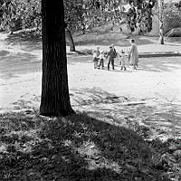 Åtta barn och en vuxen leker ringlek i park.