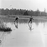 Pojkar spelar bandy på blankfrusen sjö.