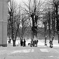 Park vintertid, med promenerande människor och skidåkande barn.