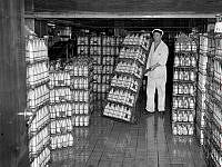 Torsgatan 14-20, Mjölkcentralen. Bertil Andersson med några av de 300 000 liter flaskmjölk som dagligen tappas upp.