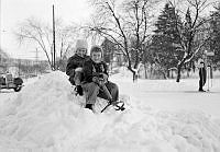 Två barn åker kälke i snön.