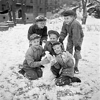 Fem pojkar gör en snögubbe i snön.